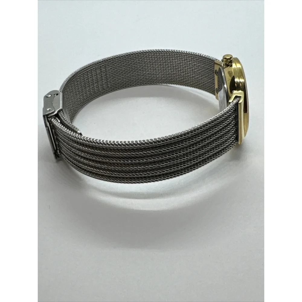 Skagen 355SGSS Women Silver Stainless Steel Mesh Analog Dial Wrist Watch JNA886